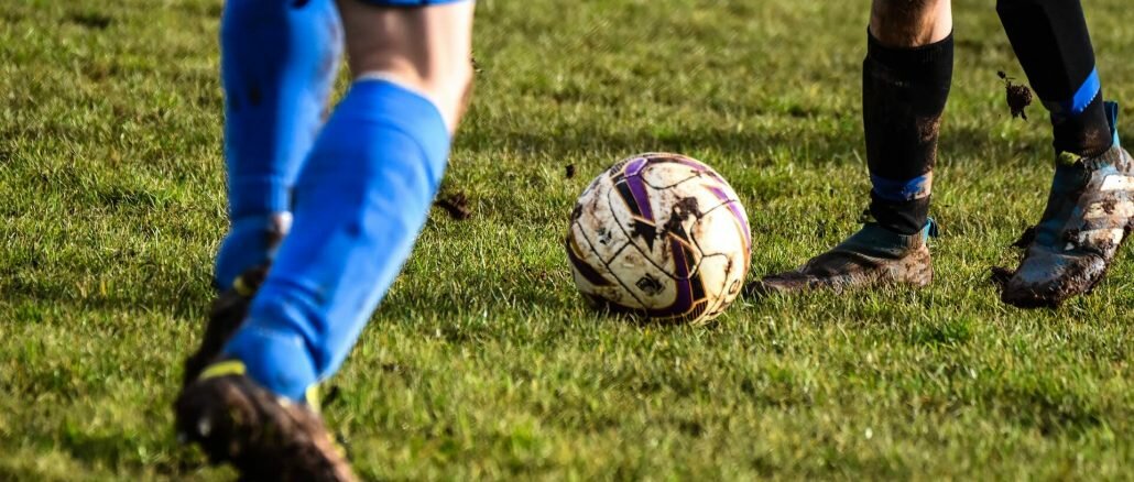 BVB campeonbet BVB campeonbet